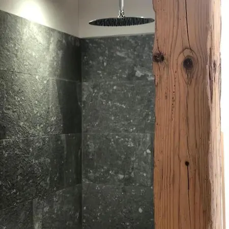 Apartment Gemuetlich Mit Stil „la Tgea Cotschna“ *